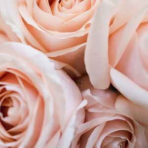 Meet your Posher, Juvana